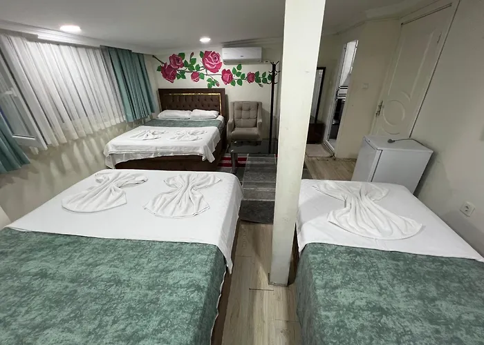 Sultanahmet Blue Yacht House *