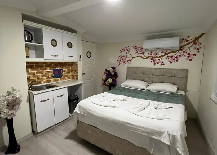 Sultanahmet Blue Yacht House Δωμάτια σε οικογενειακή κατοικία