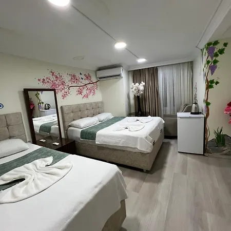 Privat bolig Sultanahmet Blue Yacht House Istanbul