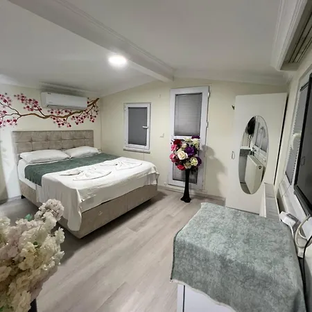 Sultanahmet Blue Yacht House Privatunterkunft