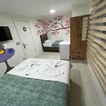 Sultanahmet Blue Yacht House *