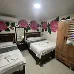 Проживание в семье Sultanahmet Blue Yacht House