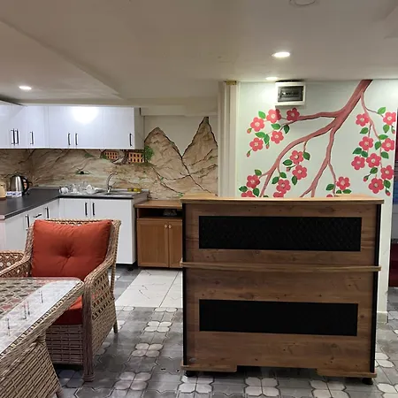 Sultanahmet Blue Yacht House