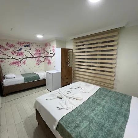 Sultanahmet Blue Yacht House * איסטמבול