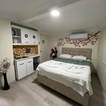 Sultanahmet Blue Yacht House Privatunterkunft