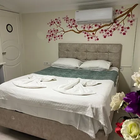 Sultanahmet Blue Yacht House * איסטמבול