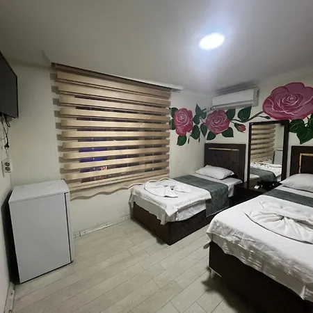 Sultanahmet Blue Yacht House * איסטמבול