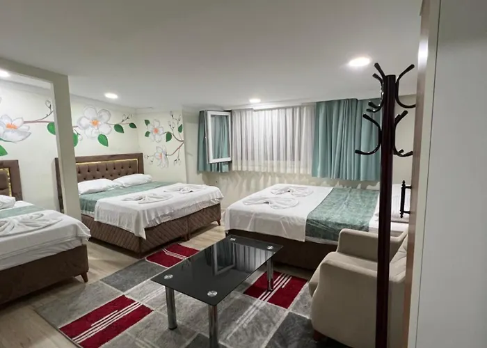 Sultanahmet Blue Yacht House Homestay *