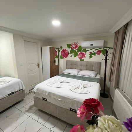 Sultanahmet Blue Yacht House * Istambul