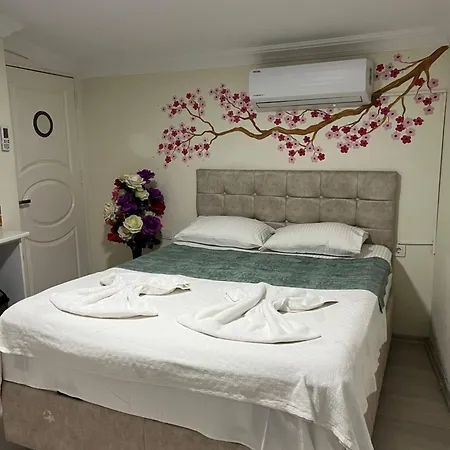 Sultanahmet Blue Yacht House Istambul