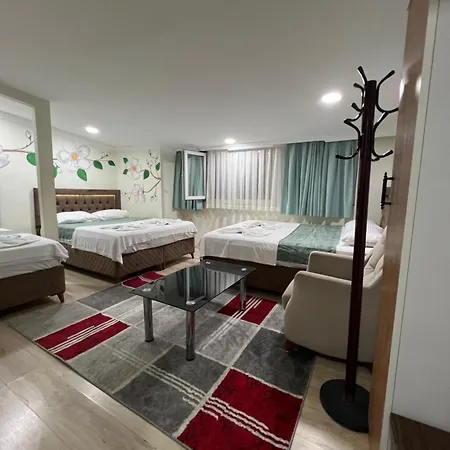 Sultanahmet Blue Yacht House Istanbul