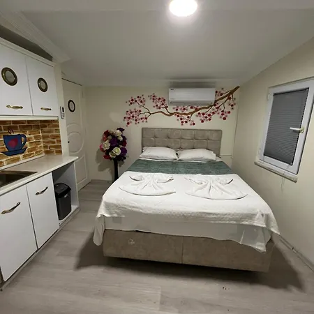 Sultanahmet Blue Yacht House Rum i privatbostad